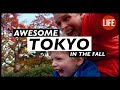 Awesome Tokyo in the Fall | Life in Japan Episode 32