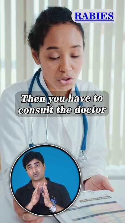  प्राणी के काटने के तुरंत बाद क्या करे | What to do after animal bite ...