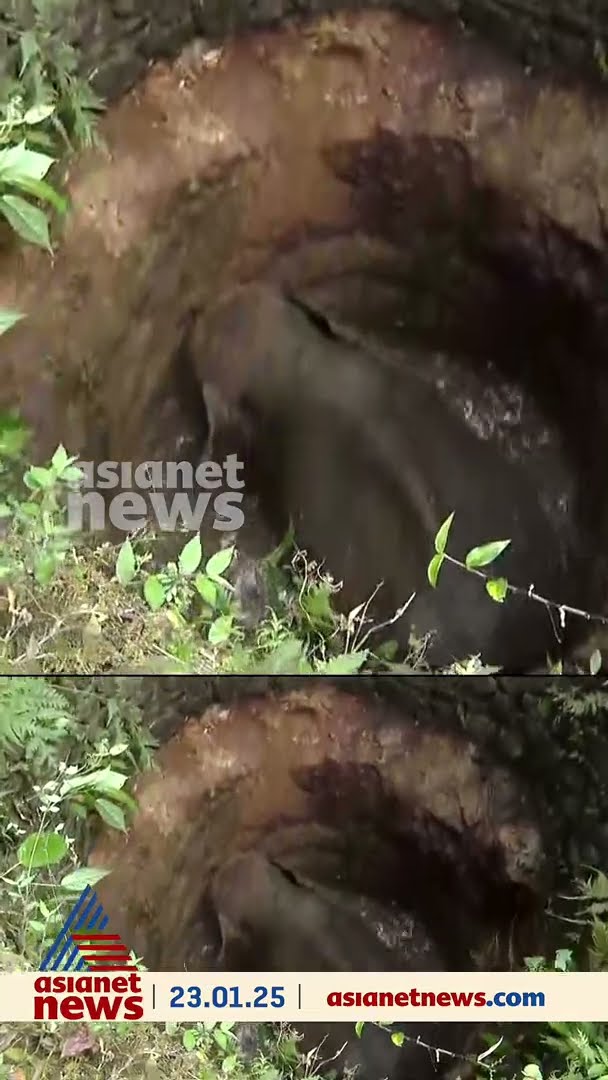 മലപ്പുറത്ത് കാട്ടാന കിണറ്റിൽ,രക്ഷാപ്രവർത്തനം തുടരുന്നു
