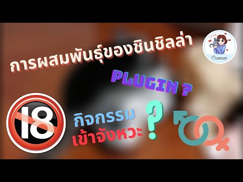 วีดีโอ: วิธีผสมชินชิล่า