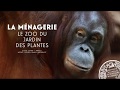 Vidéo: MNHN : La Ménagerie, le zoo historique de Paris , Paris 