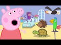 Peppa Learns About Animals at The Vets! 🐷🏥 @Peppa Pig - Nursery Rhymes and Kids Songs