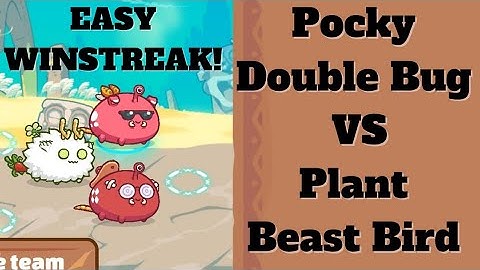 AXIE EASY WINSTREAK! Pocky Double Bug VS Plant Beast Bird Gameplay | Axie Infinity