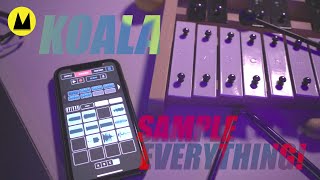 Best Mobile Sample APP Ever..! Koala will Sample Everything! screenshot 5