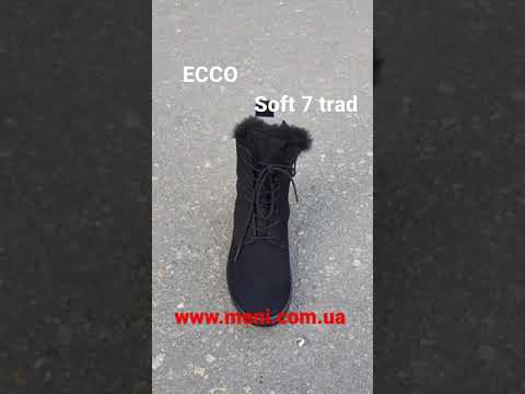 ecco 450423-02001 meni