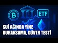 Sui’de Hızlı Toparlanma Ama İstikrar Testi: Asıl Ölçüt Ne?