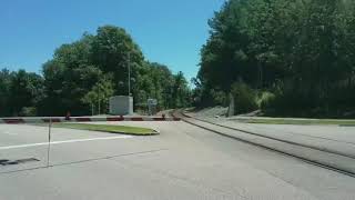 Sorting the yard timelapse