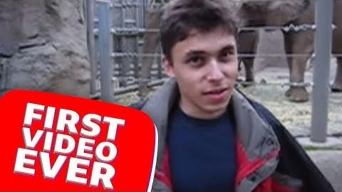 I Spent a Day Creating AI-Generated Zoo Videos and Here