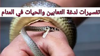 تفسير الأحلام/ لدغة أو عضة الثعبان والحية في المنام ؟ غرائب وعجائب التأويل!