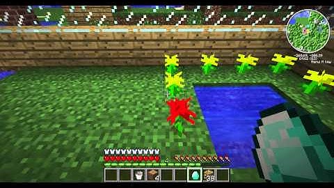 how to make a twilight forest portal