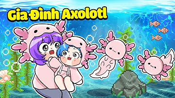 HUY NOOB EM BÉ ĐƯỢC NHẬN NUÔI BỞI GIA ĐÌNH AXOLOTL TRONG MINECRAFT* HUY NOOB 1 NGÀY LÀM AXOLOTL 🤩🐠