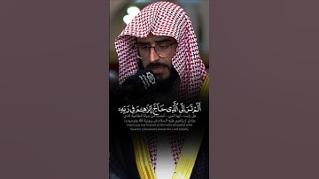 ﴿أَلَمْ تَرَ إِلى الَّذي حاجَّ إِبْراهِيمَ في رَبِّهِ﴾ تلاوة حجازية خاشعة للشيخ عبدالرحمم المسعودي 🖤