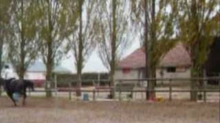seance saut Moon 1m35 .wmv