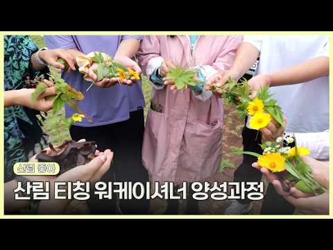산림 티칭 워케이셔너 양성과정 | 생생투데이 사람과 세상 (KBS 2026.08.11.화 방송)
