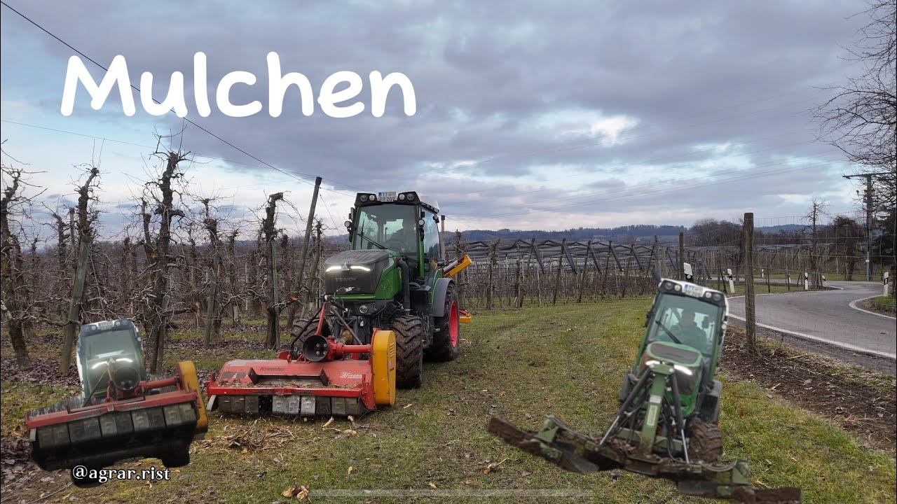 Mulchen mit dem 209 v Vario 