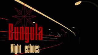 Bungula - Night echoes