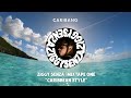 Ziggy senza  mixtape one  caribbean style powered by caribang