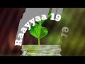 Raayyaa Abbaa Maccaa 19 