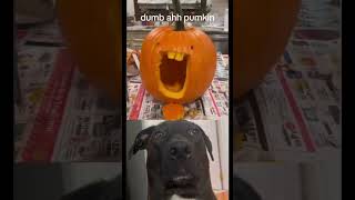 Im not understanding the human funny in this #shorts #reaction #reactionvideo