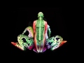 The Frog Body Painting by Johannes Stötter