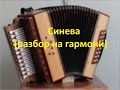 Синева(разбор на гармони с цифрами)