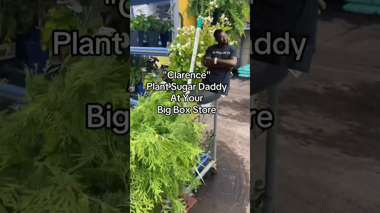 Shopping the clearance rack. 