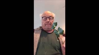 How    to   Grow   Oregon  Grape Holly from a Cutting Low Oregon Grape