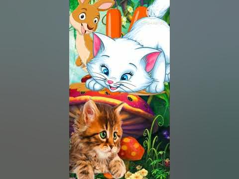 k for kite ,K for king 👑👑|learn alphabets with some examples| kids