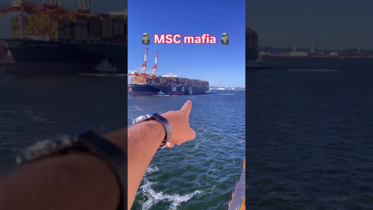 MSC mafia ke liye 3 board aya hai long