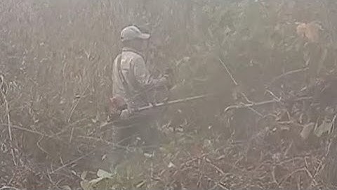 hnub no kuv tus txiv wb mus luaj teb qos sab kawg os;9/3/2023.