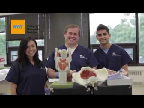 Gross Anatomy Advice from NYITCOM Medical Students