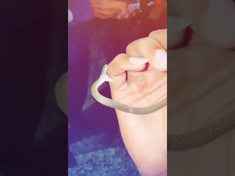 Nbki 3la Saha Oula 3la Zhar