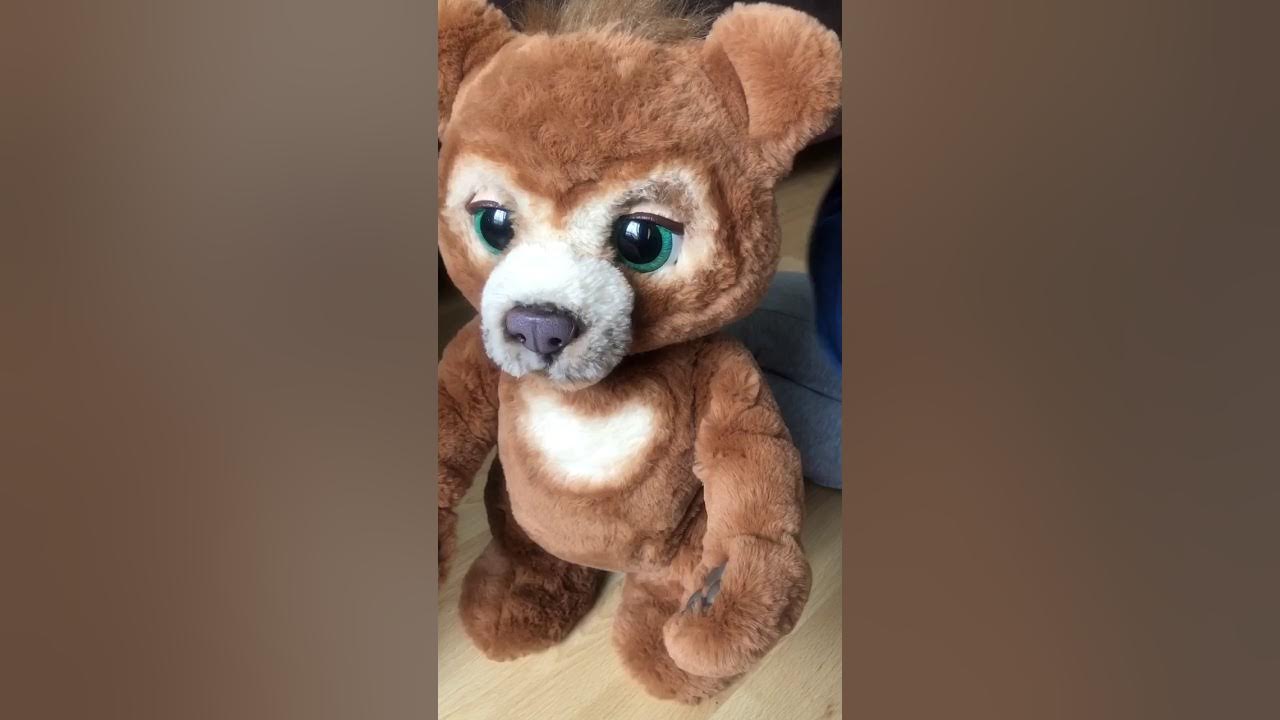 Ours en peluche animé en peluche - Ours coucou interactif - Brown