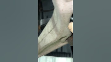 Hoe u de verbindingsstangen van uw stabilisatorstang controleert (het geluid wordt niet veroorzaa...