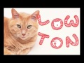 World_Cats LOW TON -DARTSLIVE2 AWARD MOVIEE