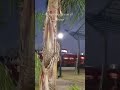 MALVINAS ARGENTINAS #viral #reels #shorts #short #shortviral #funny #funnyvideo #parati #fypシ゚viral