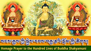 Homage Prayer To The Hundred Lives of Buddha Shakyamuni|སངས་རྒྱས་སྐྱེས་རབས་བརྒྱ་རྩའི་སྡོམ་གྱི་ཚིགས།