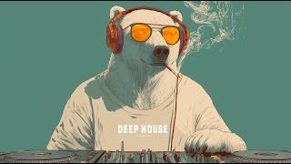 Chill Music Bear @ Nightclub Vibes | Funky House | Relaxed Grooves Mix