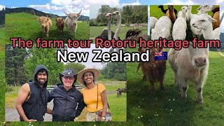 Rotorua Heritage Farm | නවසීලන්තයේ ගොවිපලක් බලමුද #rotorua  #farmlife   #travelexplore #agriculture