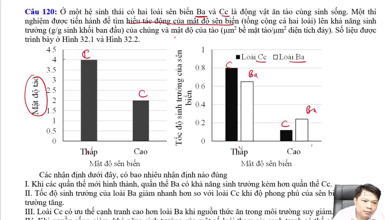 Chữa đề thi FREE chuẩn cấu trúc