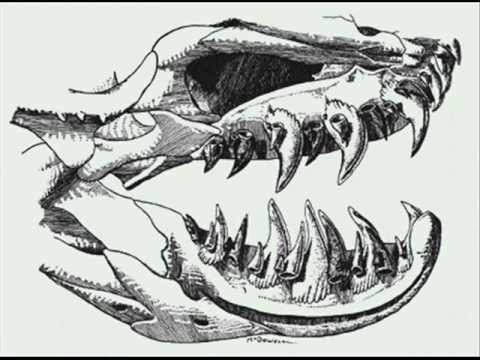 Mandíbula - The ballad of Johnny Butt