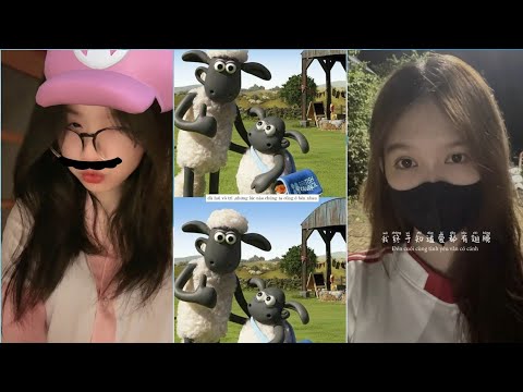 ผลสลากกินแบ่งรัฐบาล วันที่ 1 พย. 2567