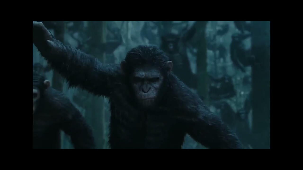 The Trilogy Of The Planet Of The Apes|Feel Invincible