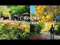 【4K】秋の北鎌倉 烏瓜と葛原岡（字幕をオンにして見て下さい）
