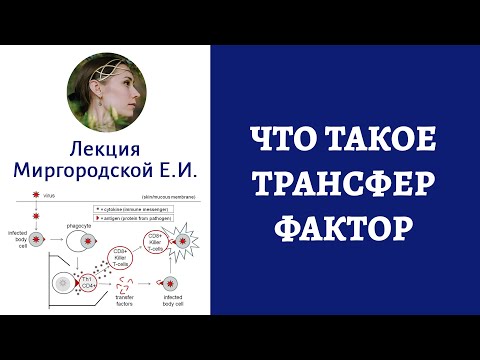 Трансфер фактор — что это и как он работает?