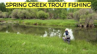 Spring Creek Trout Fishing | Tactics & How To