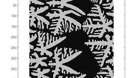 Dendrite growth simulation