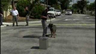 Corrections Officials Increase Prison-Searching Dogs