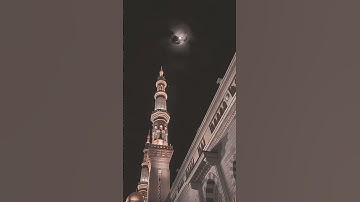 #تلاوة خاشعة/ مريحة للأعصاب# القارئ/بلال دربالي 😍