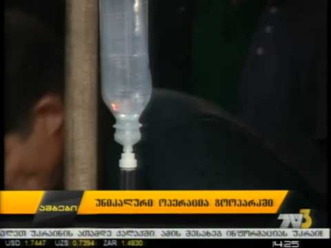 უნიკალური ოპერაცია ზოოპარკში